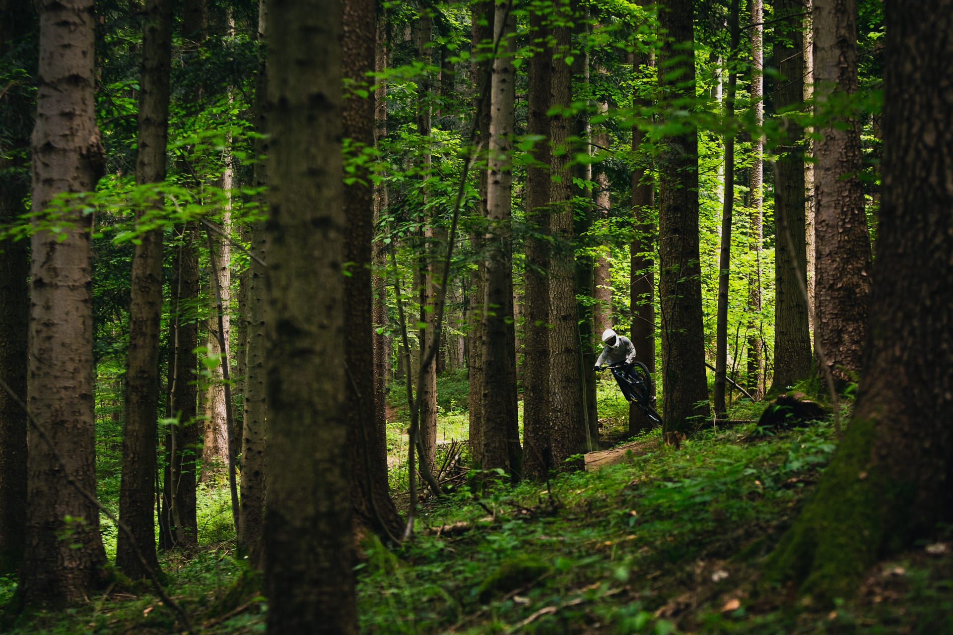 BineZalohar@KeepBusybyLegitFilms©KatjaPokorn Mountain biker riding through spring green forest on MTB trail